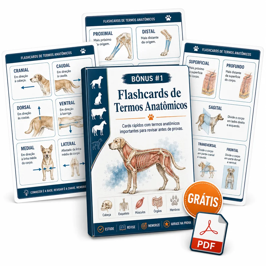 Mockup do Bônus 1 — Flashcards de Termos Anatômicos com cards de cranial, caudal, dorsal, ventral, medial, lateral, proximal, distal, superficial, profundo, sagital, transversal e frontal
