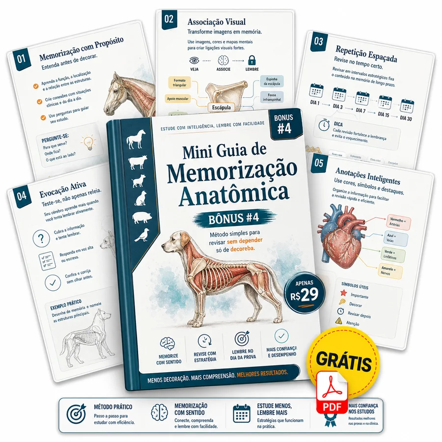 Mockup do Bônus 4 — Mini Guia de Memorização Anatômica com memorização com propósito, associação visual, repetição espaçada, evocação ativa e anotações inteligentes